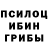 Галлюциногенные грибы мухоморы Pete Stone