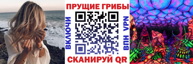 Купить  Гатчина  Псилоцибиновые грибы MAGIC MUSHROOMS 